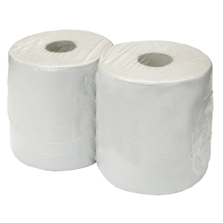 Lot de 2 bobines d'essuyage pure ouate 1000 formats 2 plis 24 x 24 cm