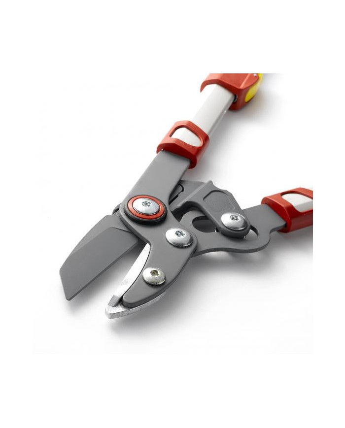 Elagueur Wolf OR900T coupe enclume