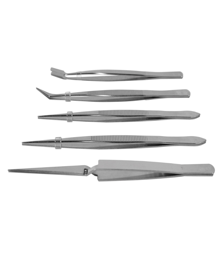 Pinces brucelles courtes - Lot de 5
